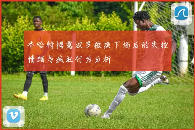 乔哈特揭露波罗被换下场后的失控情绪与疯狂行为分析