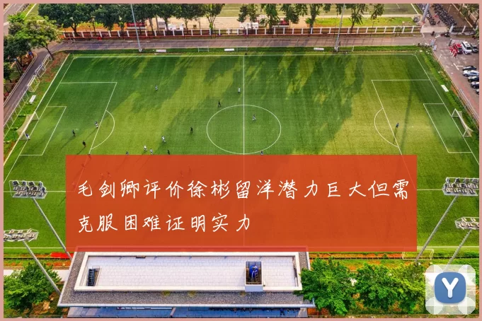毛剑卿评价徐彬留洋潜力巨大但需克服困难证明实力
